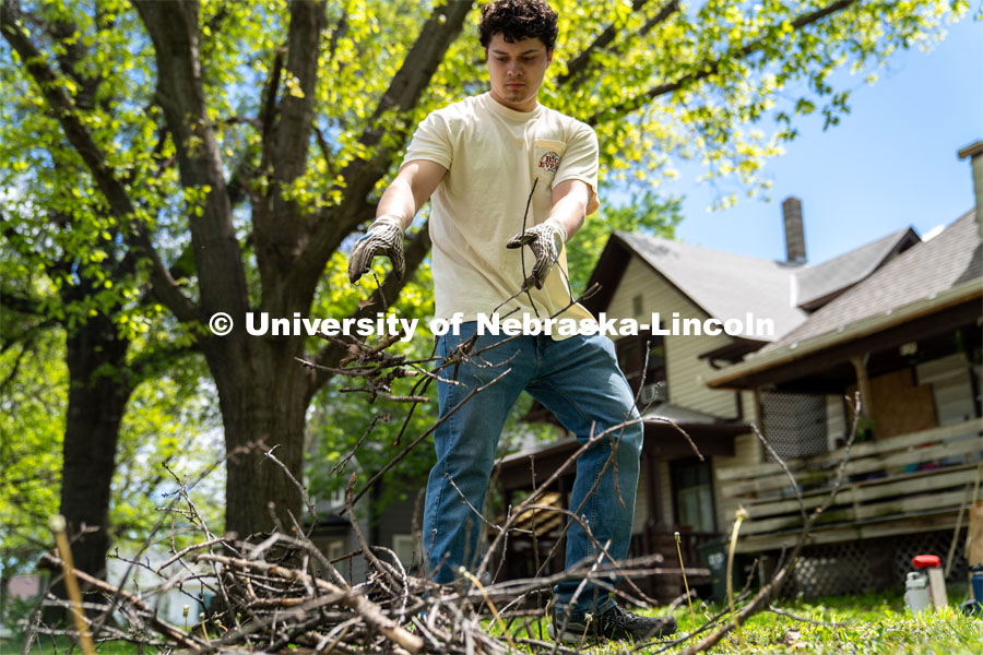 Dominik Kluthe of Delta Phi Fraternity, gathers and piles sticks from a homeowner’s front lawn during the Big Event. May 4, 2024. Photo by Kirk Rangel for University Communication.